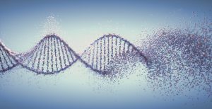 Oxidative dna damage genetic disorder molecular structure
